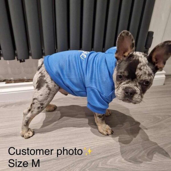 Dog Hoodie - Image 4